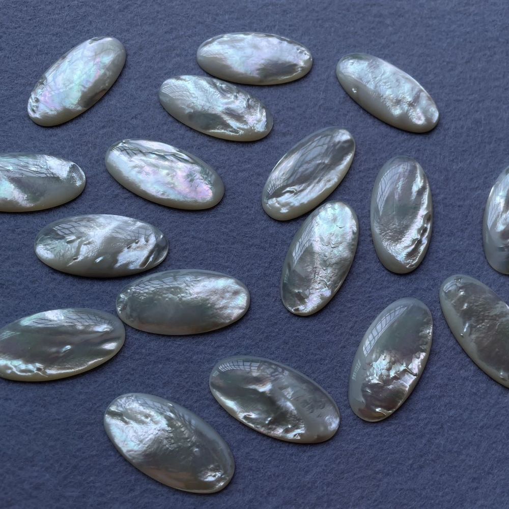 White butterfly shell for jewelry making
